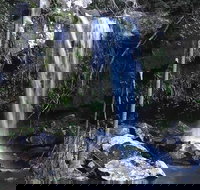 You Choose the Tour Brisbane Private Chauffeur Driven Personal Tour - Holiday Jervis Bay