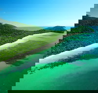 Cape Tribulation Mossman Gorge and Daintree Rainforest Day Trip from Cairns or Port Douglas - Holiday Jervis Bay