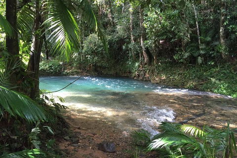 Daintree - Cape Tribulation & Atherton Tablelands Tours From Port Douglas - Holiday Jervis Bay 5