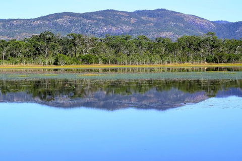 Daintree - Cape Tribulation & Atherton Tablelands Tours From Port Douglas - Holiday Jervis Bay 13