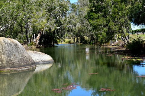 Daintree - Cape Tribulation & Atherton Tablelands Tours From Port Douglas - Holiday Jervis Bay 28