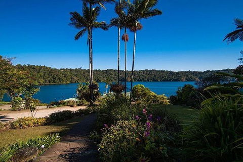 Daintree - Cape Tribulation & Atherton Tablelands Tours From Port Douglas - Holiday Jervis Bay 25