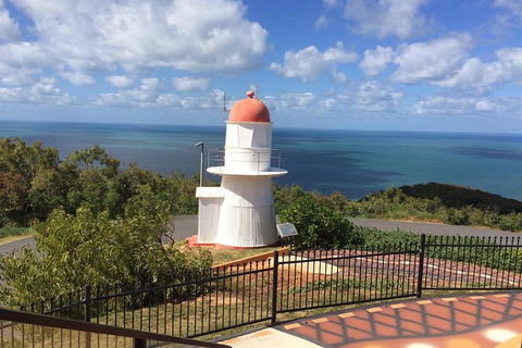 Daintree - Cape Tribulation & Atherton Tablelands Tours From Port Douglas - Holiday Jervis Bay 21