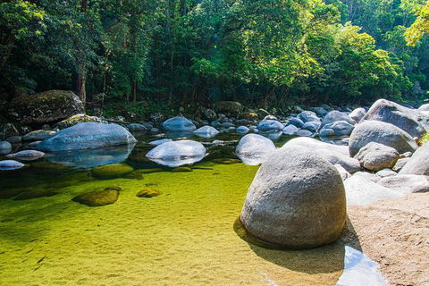 Daintree - Cape Tribulation & Atherton Tablelands Tours From Port Douglas - Holiday Jervis Bay 6