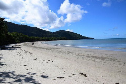 Daintree - Cape Tribulation & Atherton Tablelands Tours From Port Douglas - Holiday Jervis Bay 18