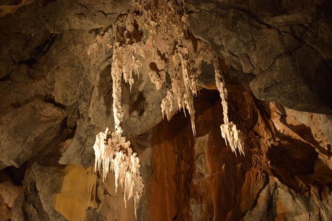 Daintree - Cape Tribulation & Atherton Tablelands Tours From Port Douglas - Holiday Jervis Bay 23