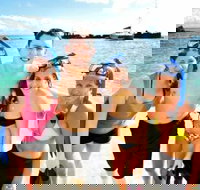 Moreton Island Snorkel and Sandboarding 4WD Day Trip from Brisbane - Holiday Jervis Bay