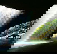 World Heritage Springbrook National Park Tour Including Natural Bridge - Holiday Jervis Bay