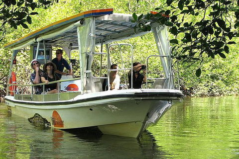 Cairns Reef And Rainforest Combo: Daintree Rainforest And The Great Barrier Reef - Holiday Jervis Bay 5