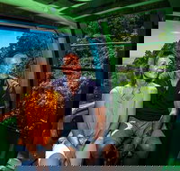 Skyrail Rainforest Cableway Day Trip from Palm Cove - Holiday Jervis Bay