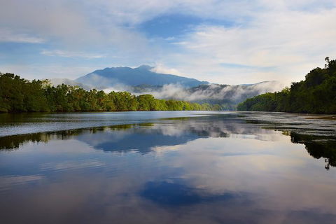 Daintree River Dawn Cruise - Holiday Jervis Bay 5