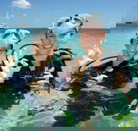 Ocean Spirit Michaelmas Cay Dive and Snorkel Cruise from Palm Cove - Holiday Jervis Bay