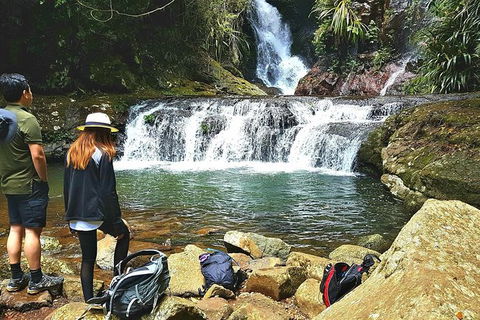 Lamington Day Tour - Holiday Jervis Bay 0