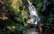 Lamington Day Tour - thumb 10