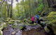 Lamington Day Tour - thumb 3