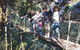 Lamington Day Tour - thumb 9