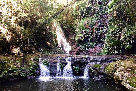 Lamington Day Tour - Holiday Jervis Bay 8