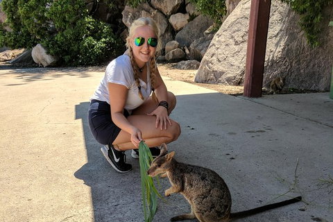 Magnetic Island Tour: Maggie Comprehensive - Holiday Jervis Bay 9