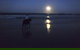 Full Moon Horse Ride At Rainbow Beach - thumb 0