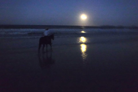 Full Moon Horse Ride At Rainbow Beach - Holiday Jervis Bay 0