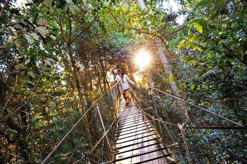 O'Reilly's Lamington National Park And Treetop Canopy Tour - Holiday Jervis Bay 0