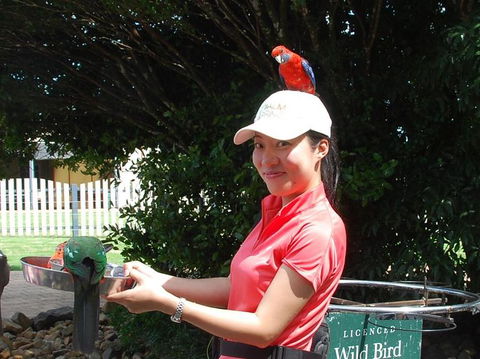O'Reilly's Lamington National Park And Treetop Canopy Tour - Holiday Jervis Bay 5