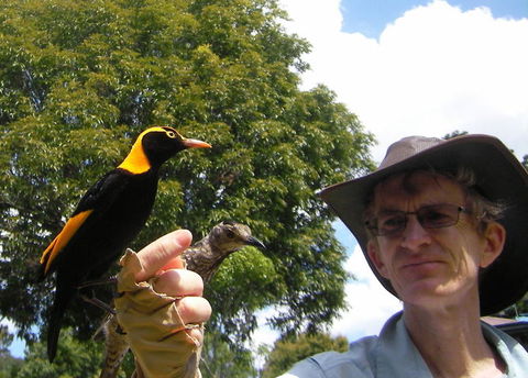 O'Reilly's Lamington National Park And Treetop Canopy Tour - Holiday Jervis Bay 4