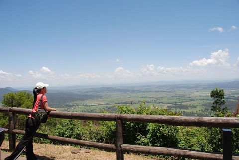 O'Reilly's Lamington National Park And Treetop Canopy Tour - Holiday Jervis Bay 6