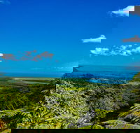 Cape Tribulation Day Tour - Holiday Jervis Bay