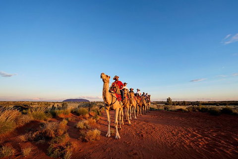 Uluru Small-Group Tour By Camel At Sunrise Or Sunset - Holiday Jervis Bay 0