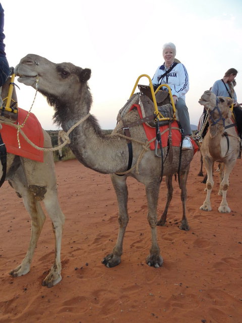 Uluru Small-Group Tour By Camel At Sunrise Or Sunset - Holiday Jervis Bay 2