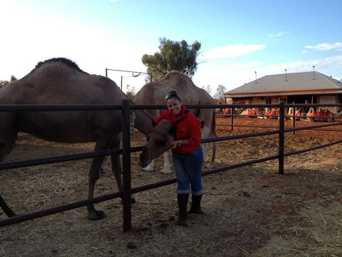Uluru Small-Group Tour By Camel At Sunrise Or Sunset - Holiday Jervis Bay 21