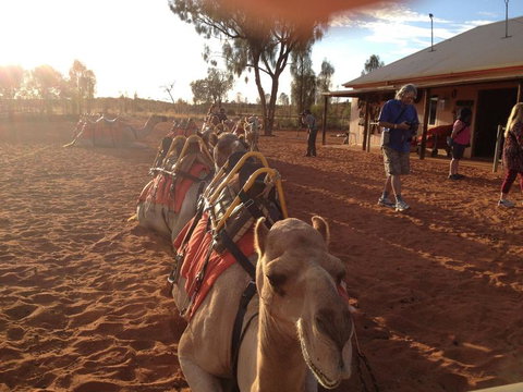 Uluru Small-Group Tour By Camel At Sunrise Or Sunset - Holiday Jervis Bay 22