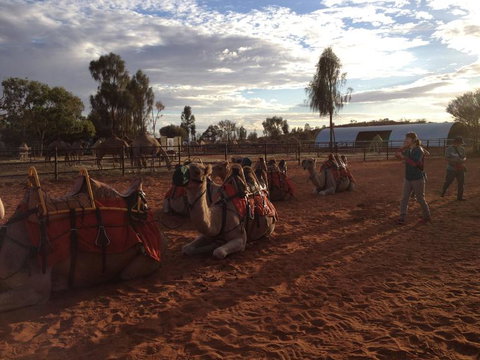 Uluru Small-Group Tour By Camel At Sunrise Or Sunset - Holiday Jervis Bay 23