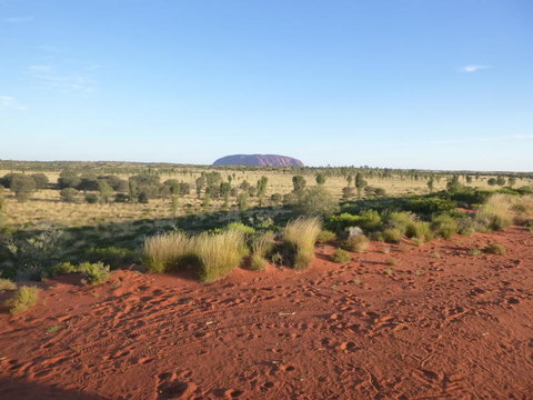 Uluru Small-Group Tour By Camel At Sunrise Or Sunset - Holiday Jervis Bay 9
