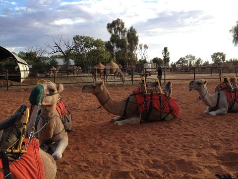 Uluru Small-Group Tour By Camel At Sunrise Or Sunset - Holiday Jervis Bay 24