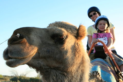 Uluru Small-Group Tour By Camel At Sunrise Or Sunset - Holiday Jervis Bay 3