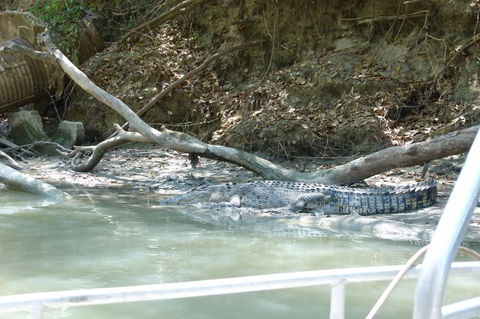 Kakadu Full-Day Tour From Darwin With Lunch - Holiday Jervis Bay 2