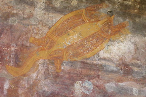 Kakadu Full-Day Tour From Darwin With Lunch - Holiday Jervis Bay 4