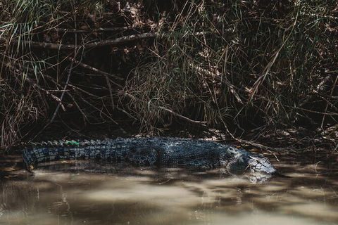 Kakadu Full-Day Tour From Darwin With Lunch - Holiday Jervis Bay 13