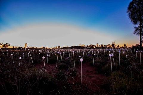 Uluru Field Of Light Sunrise Tour - Holiday Jervis Bay 8