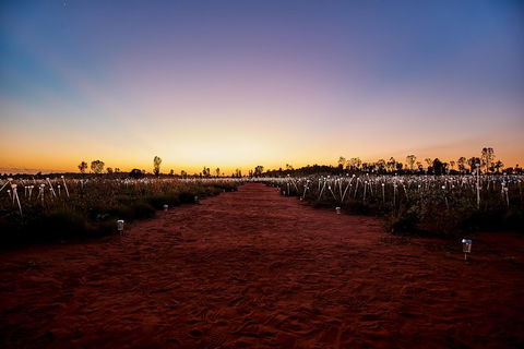 Uluru Field Of Light Sunrise Tour - Holiday Jervis Bay 14