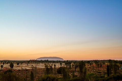 Uluru Field Of Light Sunrise Tour - Holiday Jervis Bay 12