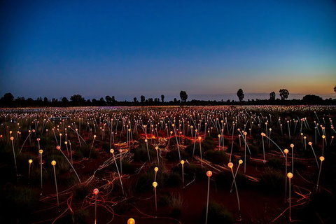 Uluru Field Of Light Sunrise Tour - Holiday Jervis Bay 7