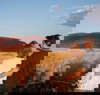 Uluru Ayers Rock Sunset with Outback Barbecue Dinner and Star Tour - Holiday Jervis Bay