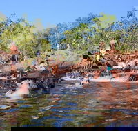 Litchfield and Jumping Crocodiles Full Day Trip from Darwin - Holiday Jervis Bay