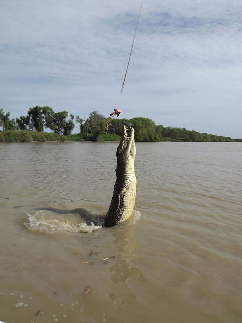 Darwin Jumping Crocodiles Cruise On Adelaide River - Holiday Jervis Bay 2