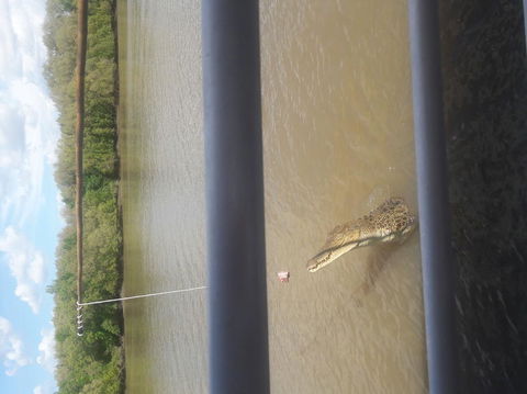 Darwin Jumping Crocodiles Cruise On Adelaide River - Holiday Jervis Bay 3