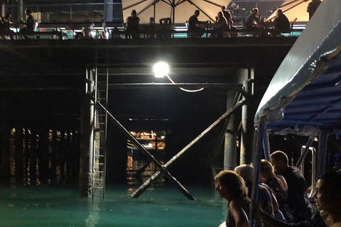 Darwin Sunset Cruise, Including Fish \'n\' Chips - Holiday Jervis Bay 8