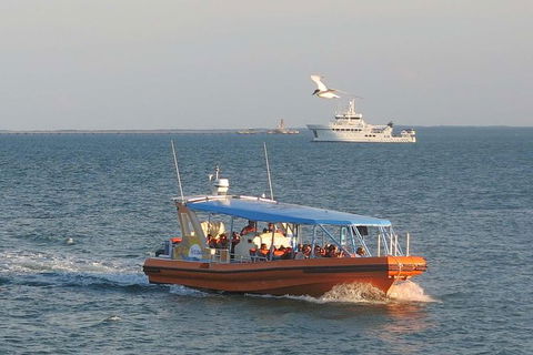 1-Hour Darwin Harbour Highlights Cruise - Holiday Jervis Bay 0